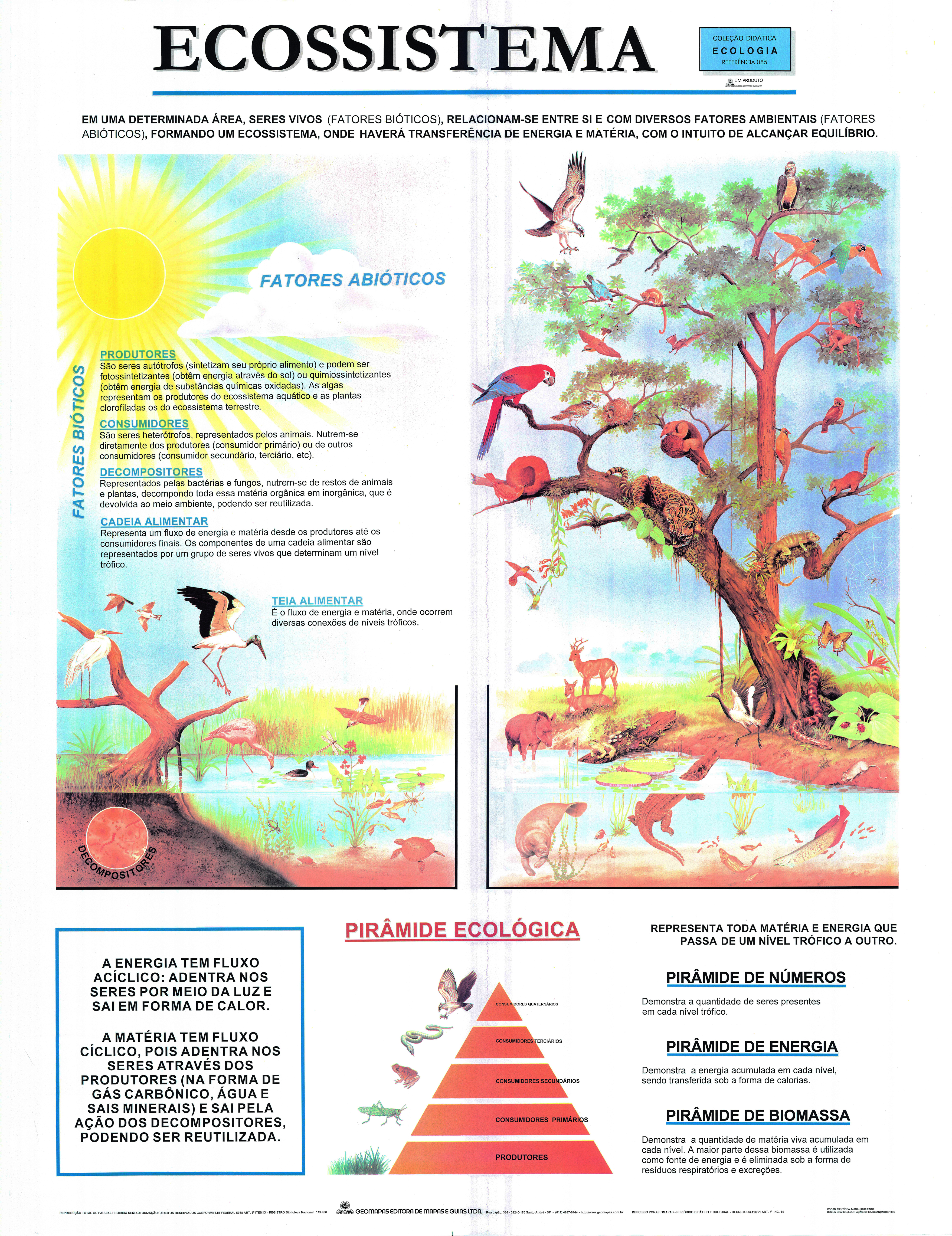 Ref. 086  Prancha - Ciclo do Oxigênio - Formato 0,90x1,20m